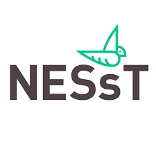 NESsT